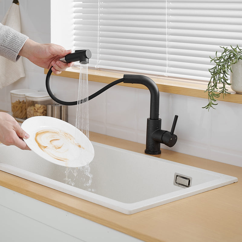 Black Kitchen Sink Faucet with Pull Down Sprayer by HouseOfZazla