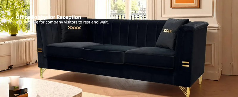 FX-P82-BK2 Modern Velvet 3-Seater Sofa with 2 Pillows by HouseOfZazla