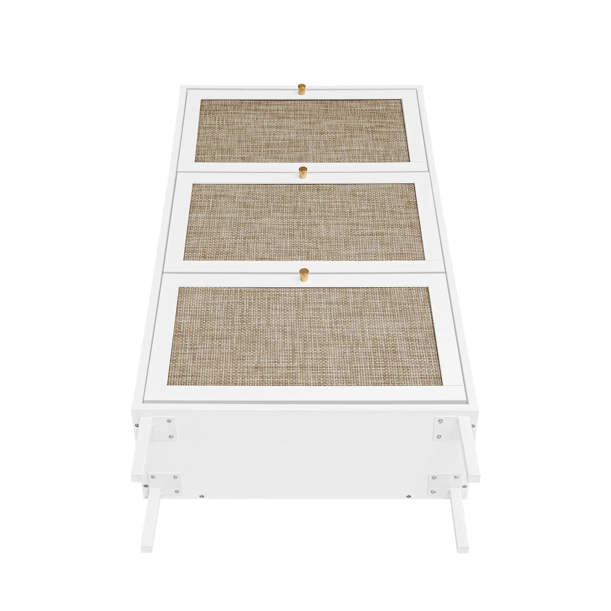 Modern Rattan 3 Door Shoe Rack Cabinet for Entryway by HouseOfZazla