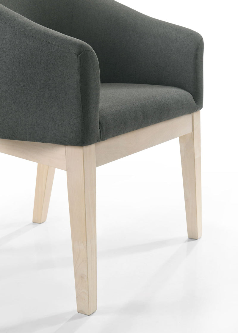 Neroli - Barrel Accent Chair (Set of 2) - Gray by HouseOfZazla