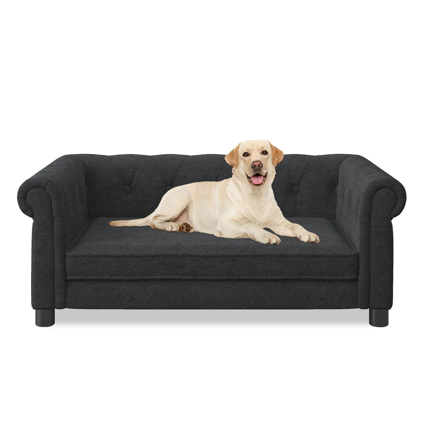 Modern Elegant Rectangle Pet Bed, Durable Elevated Dog Sofa by HouseOfZazla