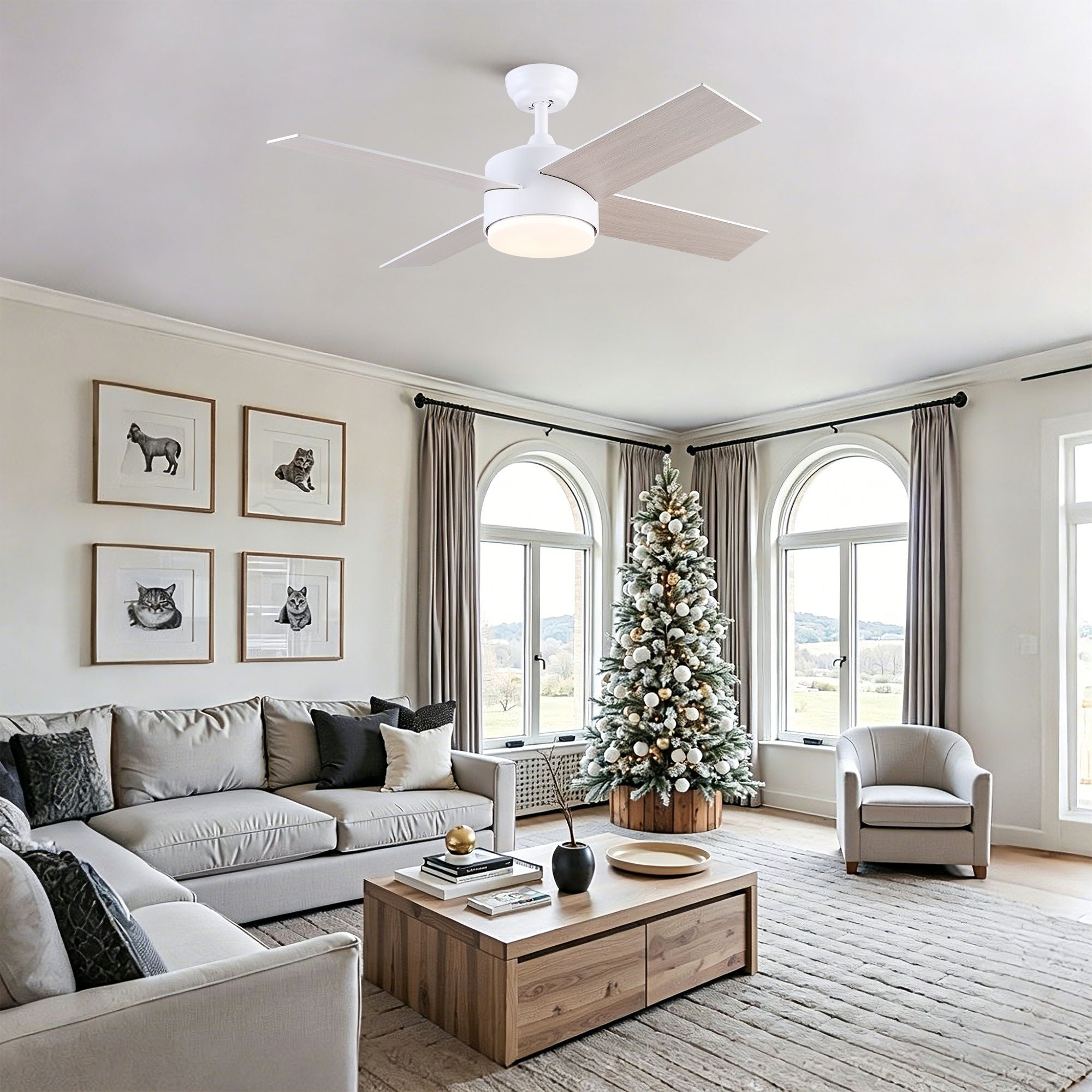 Ceiling Fan With Remote Control, Reversible DC Motor, 6 Speeds, 3 Dimmable LED, Quiet Timer For Indoor - White by HouseOfZazla