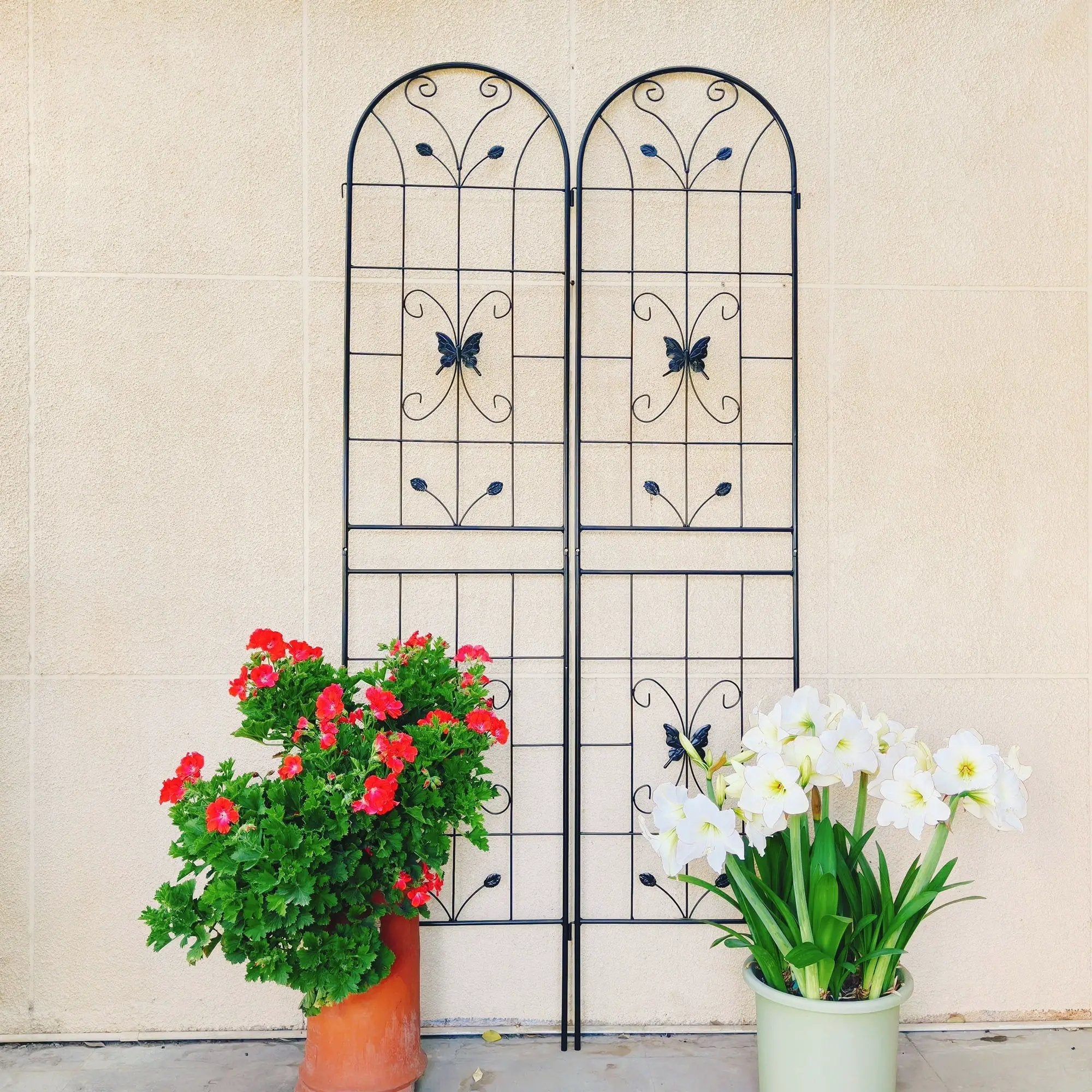 Garden Metal Trellis Rustproof Trellis For Climbing Plants Outdoor Flower Support by HouseOfZazla