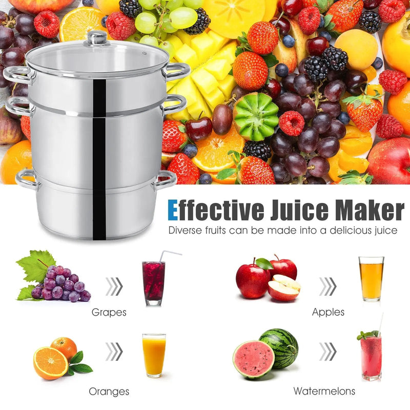 11-Quart Stainless Steel Fruit Juicer Steamer by DirectDeals