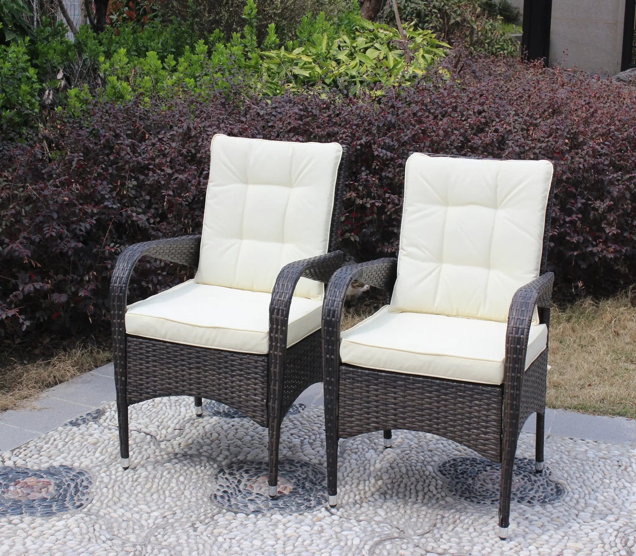 2-Piece Liberatore Dining Chairs with Beige Cushions by HouseOfZazla