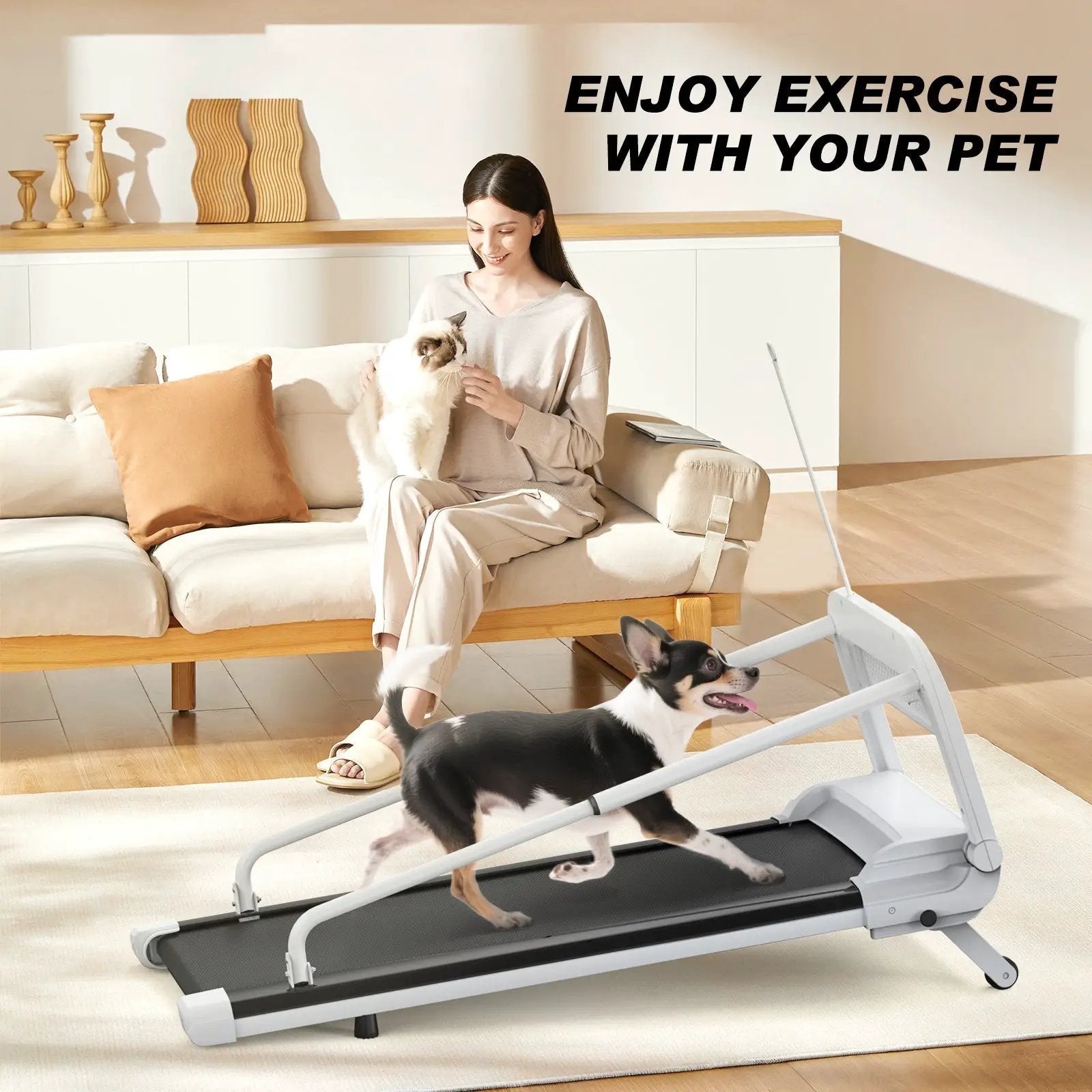 2025 New Quiet Smart Pet Treadmill by HouseOfZazla