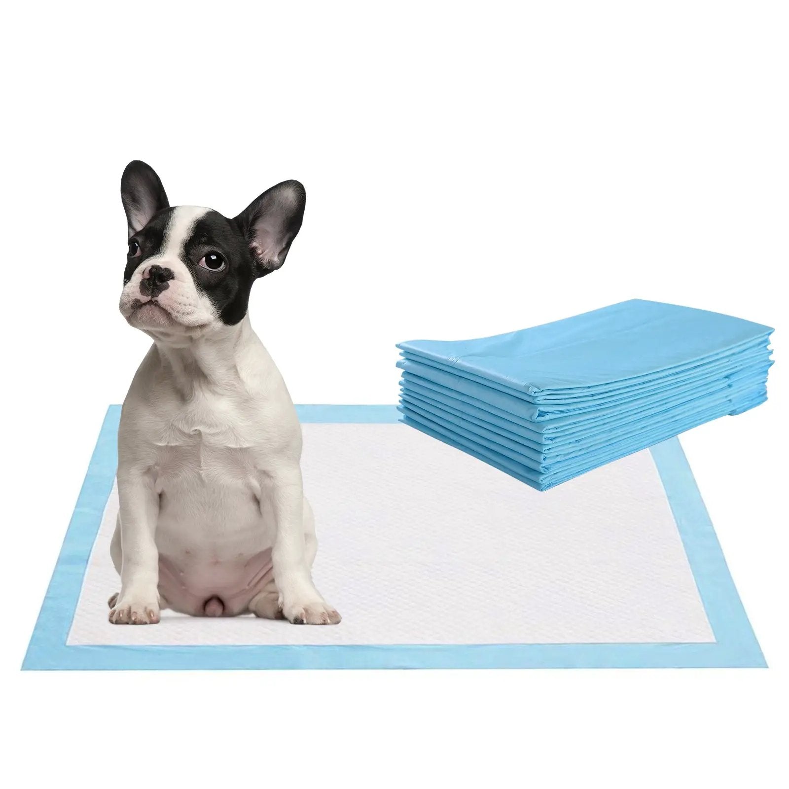 200 Pieces 24 x 24 Inch Pet Wee Pee Piddle Pad by DirectDeals