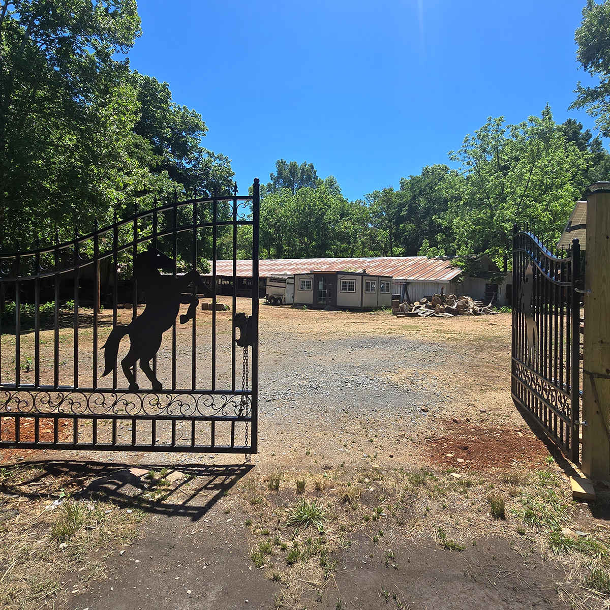 20x8 ft Steel Dual Swing Driveway Gate by Chery Industrial