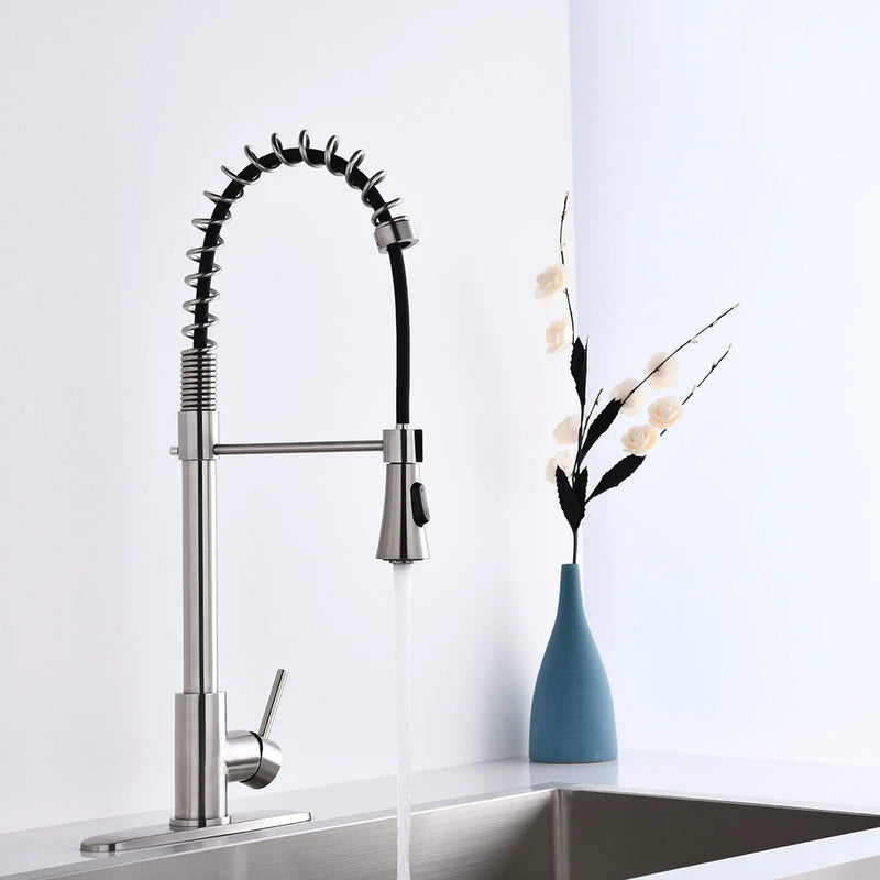 Modern Single Handle Spring High Arc Kitchen Faucet With Water Filter System by HouseOfZazla