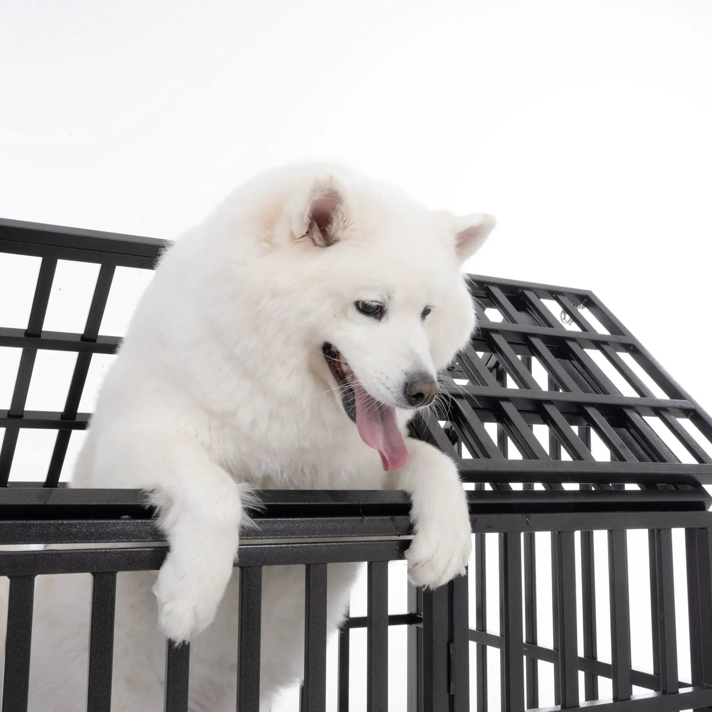 Heavy Duty Dog Crate Lockable Wheels by HouseOfZazla