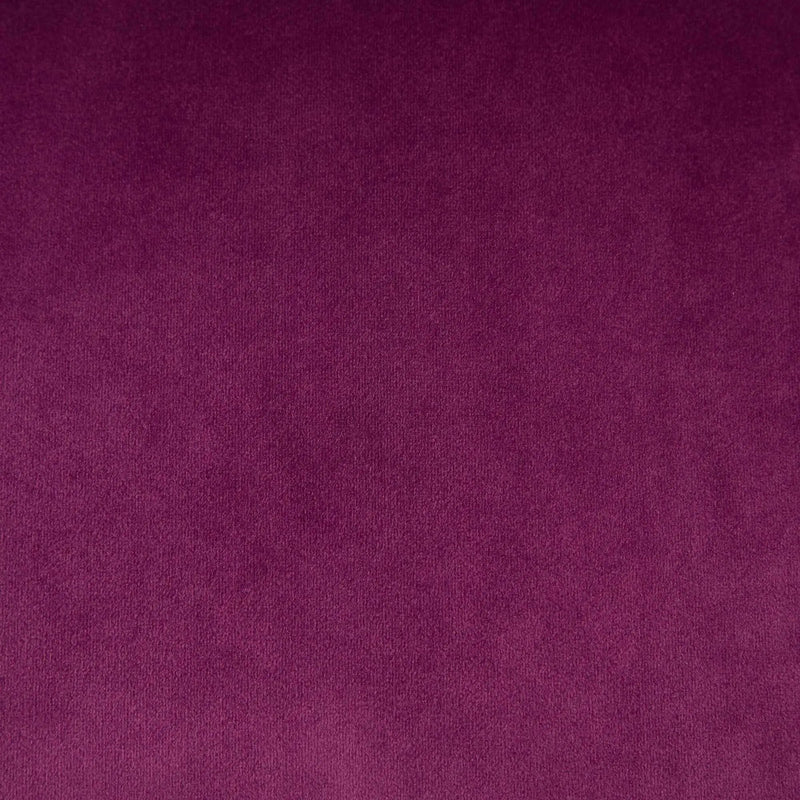 Office Chair Modern Velvet Upholstered Tufted Button (Purple) by HouseOfZazla