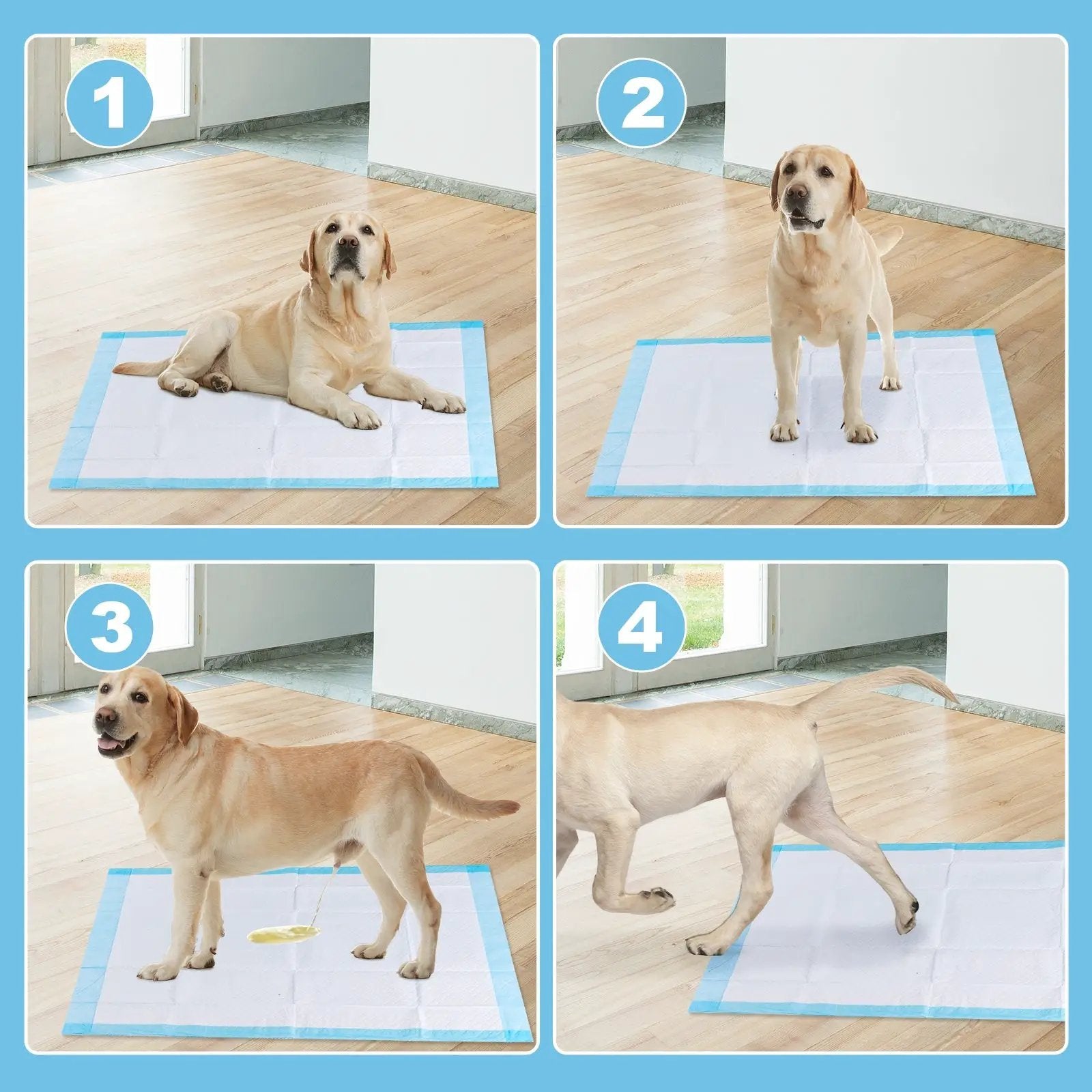 100 pieces 30 x 36 inch Pet Wee Pee Piddle Pad by DirectDeals