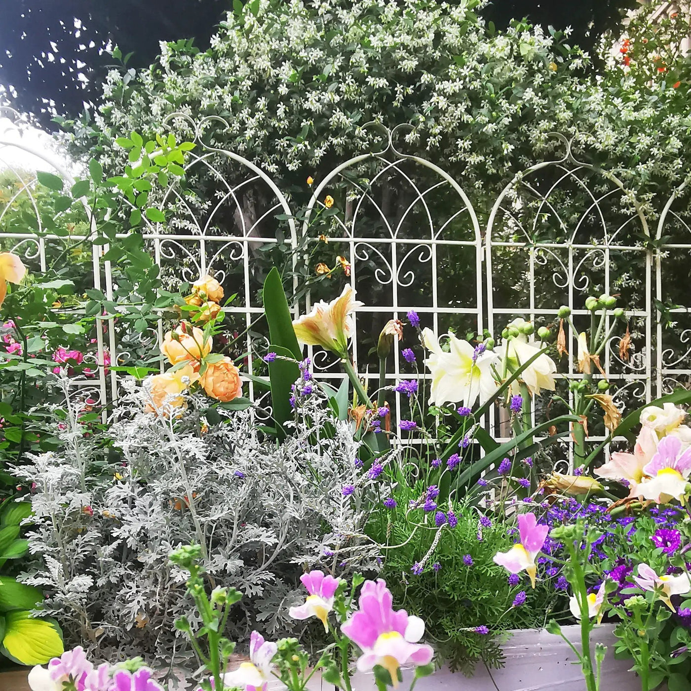 Metal Garden Rustproof Trellis For Climbing Plants Outdoor Flower Support by HouseOfZazla