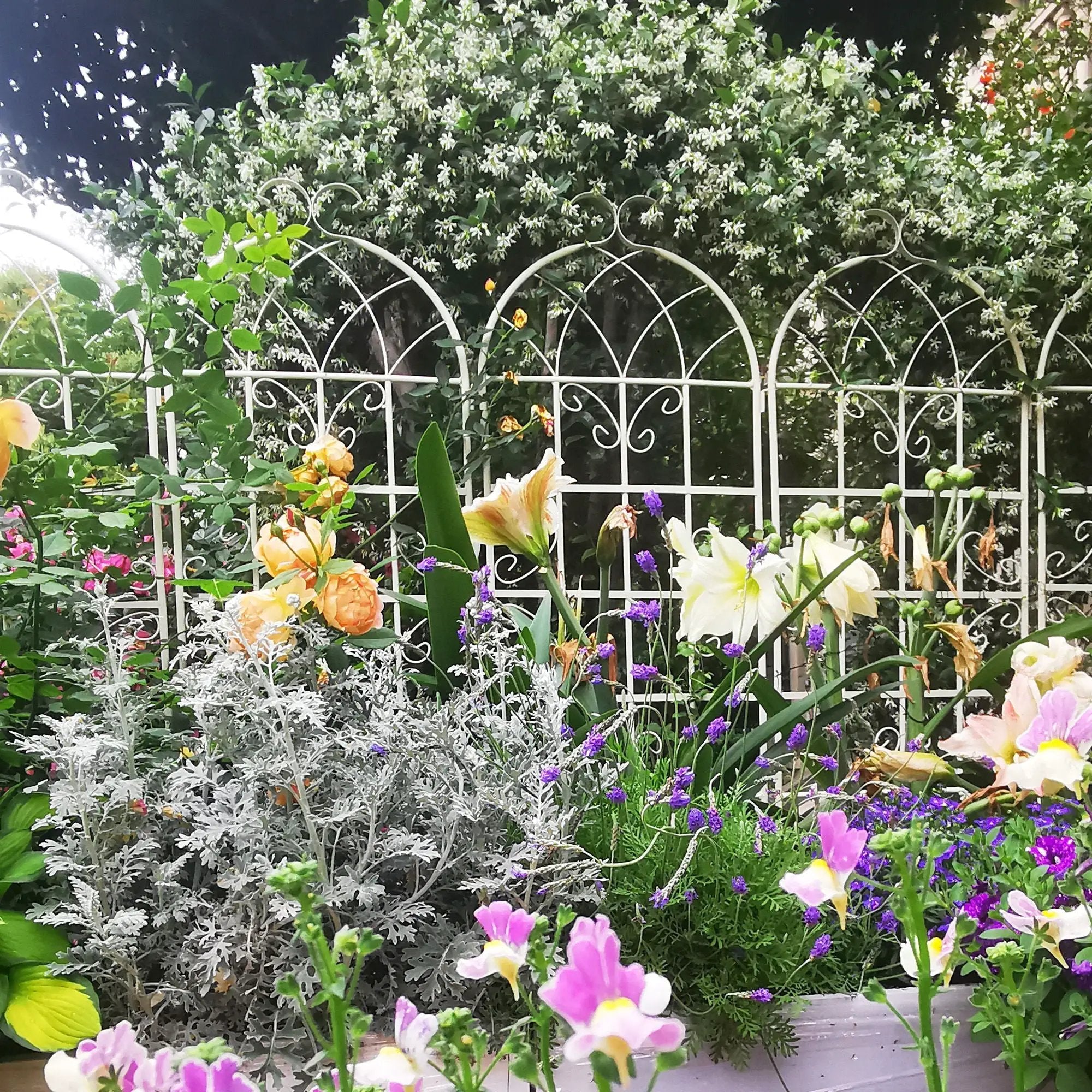 Metal Garden Rustproof Trellis For Climbing Plants Outdoor Flower Support by Unique Piece Furniture