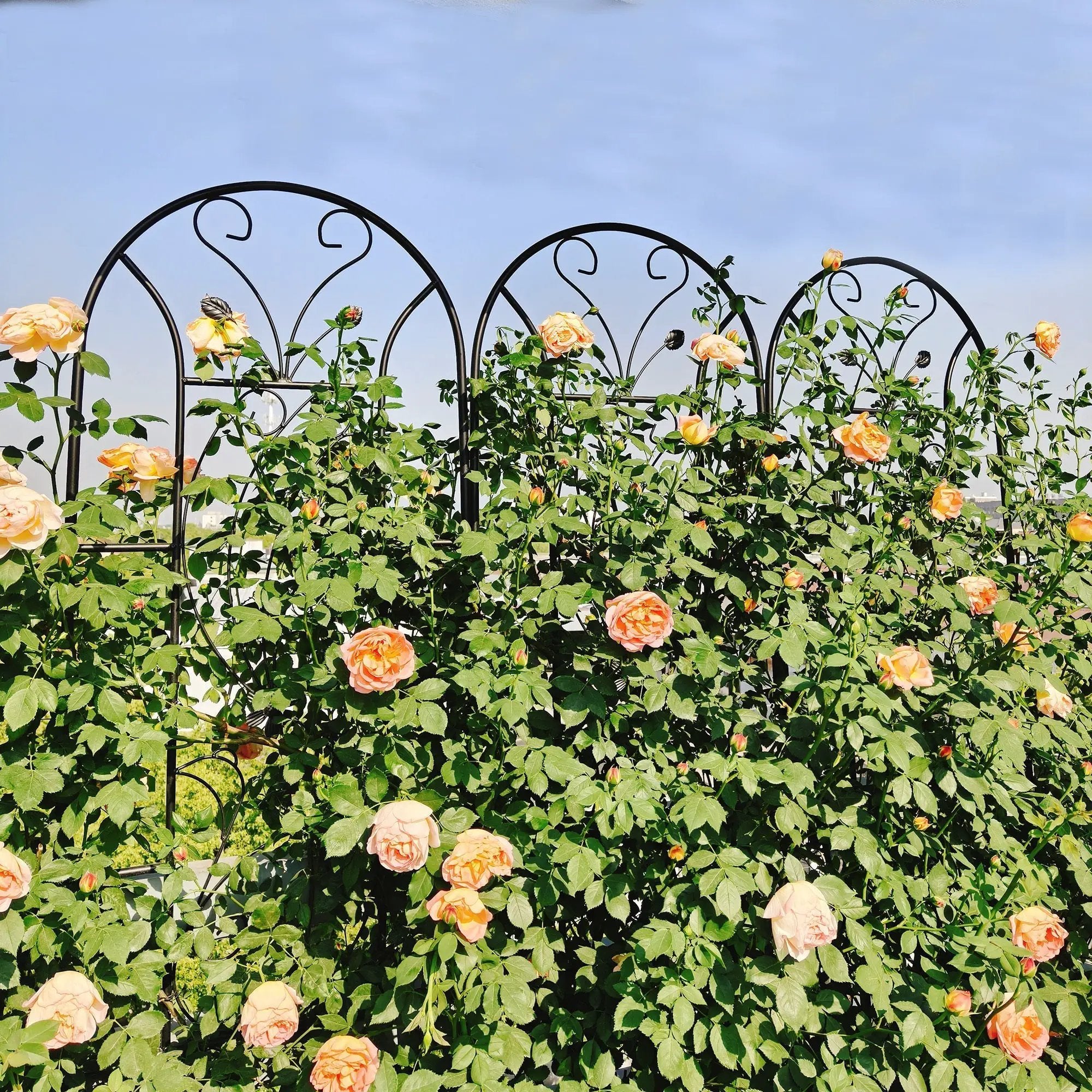 4 Pack Metal Garden Trellis 86.7'' x 19.7'' Rustproof Black by HouseOfZazla