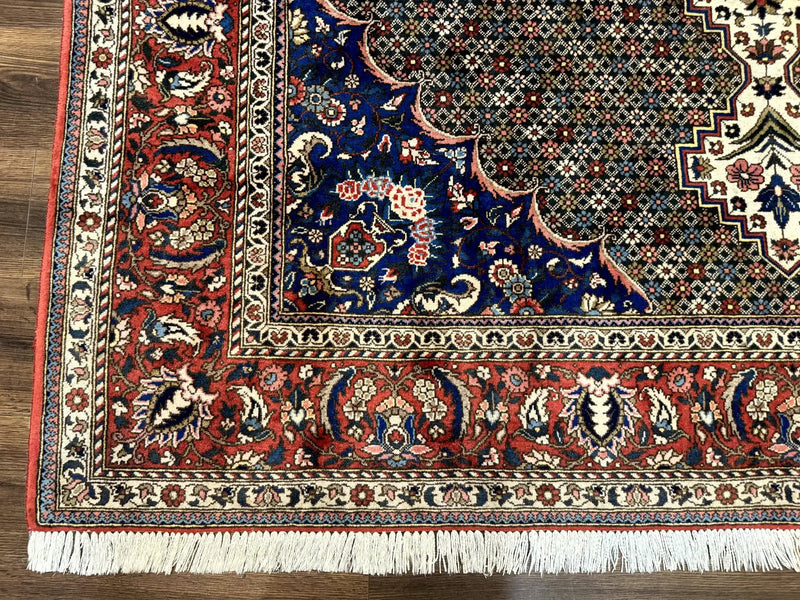Persian Rug 7x10, Bakhtiari Saman Rug, Unique Design and Colors, Ivory Red Blue, Large Tribal Rug by Jewel Rugs