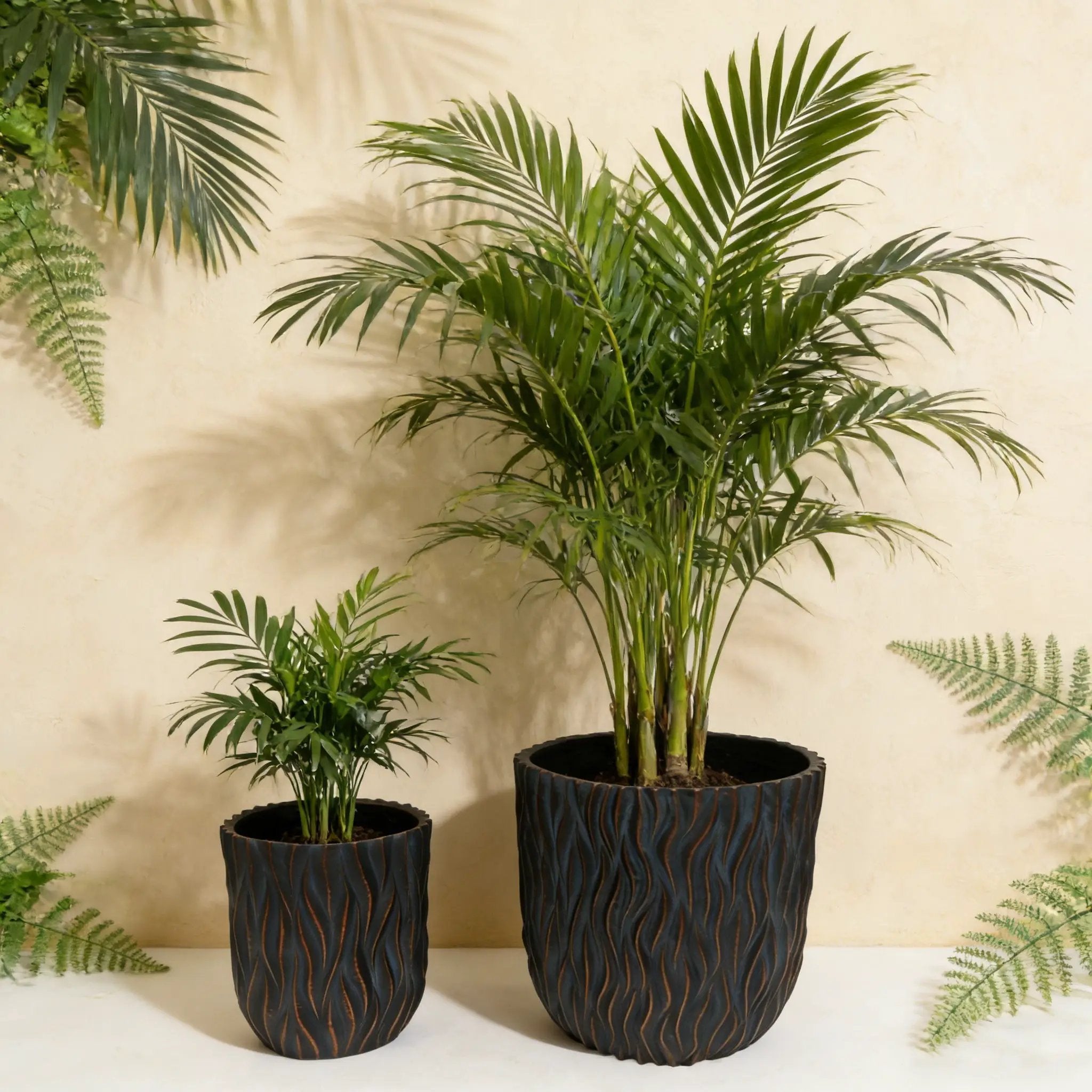 Large Round Planters Set of 2 by HouseOfZazla