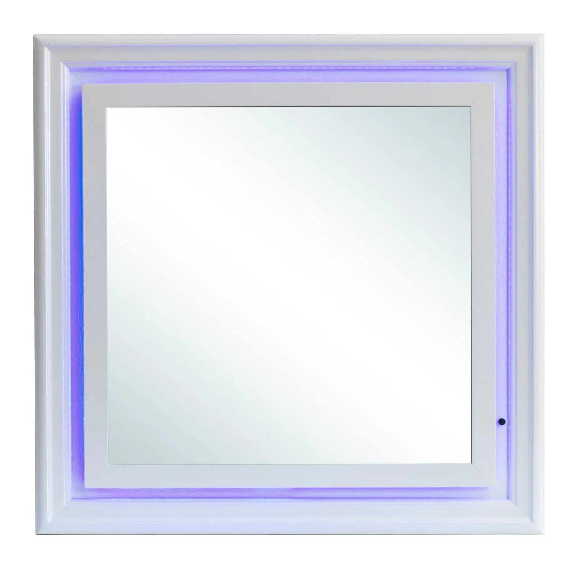 Lorana - Elegant Transitional LED Mirror by Unique Piece Furniture
