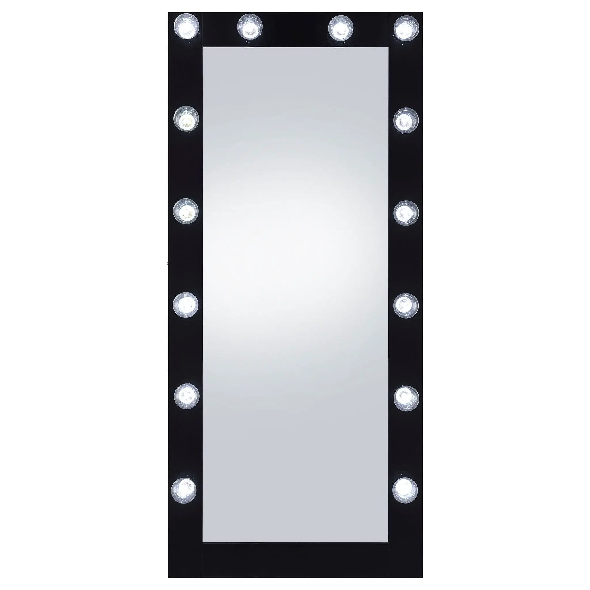 Zayan 32 x 71 Inch Floor Mirror LED Lighting Black Gloss by Unique Piece Furniture