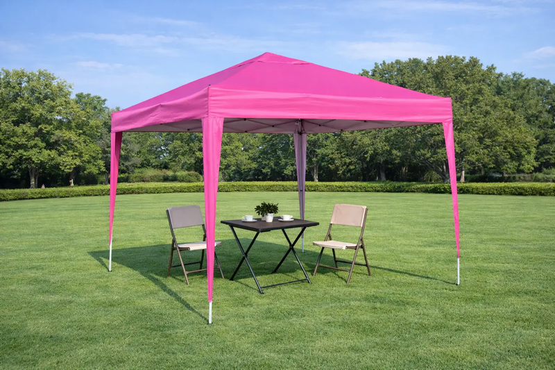 Outdoor 10x10 Ft Pop Up Gazebo Canopy Tent with Removable Sidewalls by HouseOfZazla