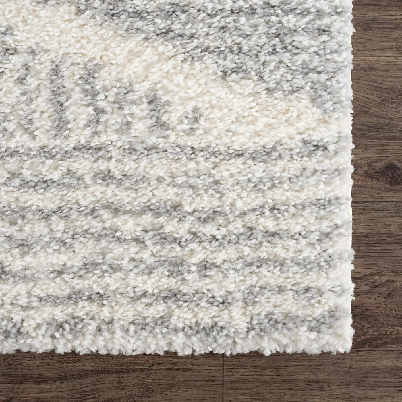 Trunding Plush Area Rug in Gray by Boutique Rugs