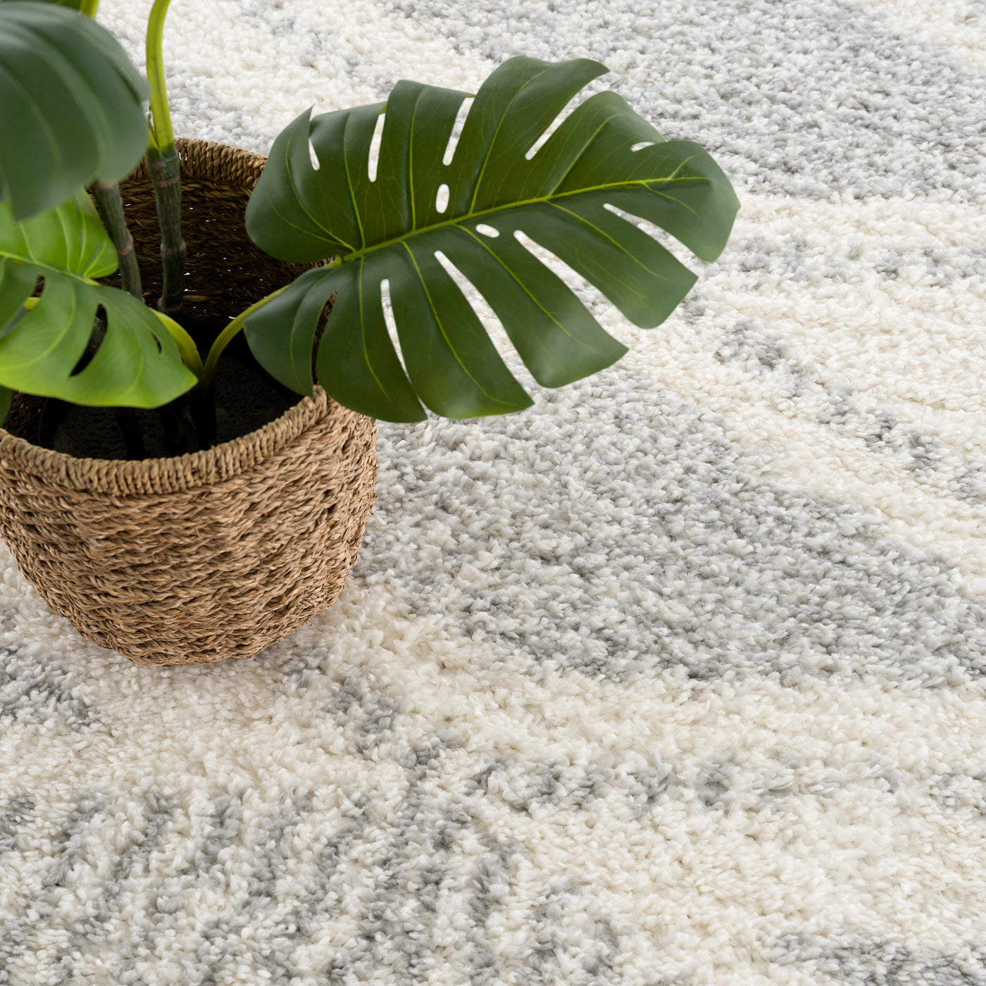 Trunding Plush Area Rug in Gray by Boutique Rugs