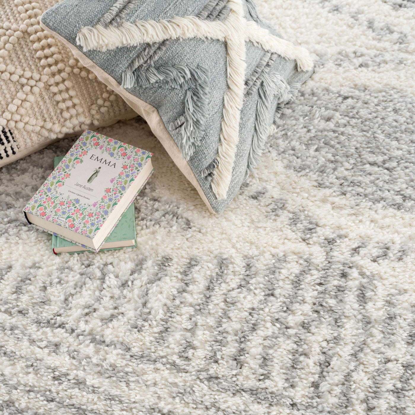 Trunding Plush Area Rug in Gray by Boutique Rugs