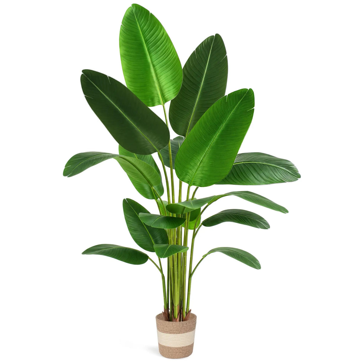 Bird of Paradise Artificial Plant 6 ft Tall Faux Banana Leaf Tree by HouseOfZazla
