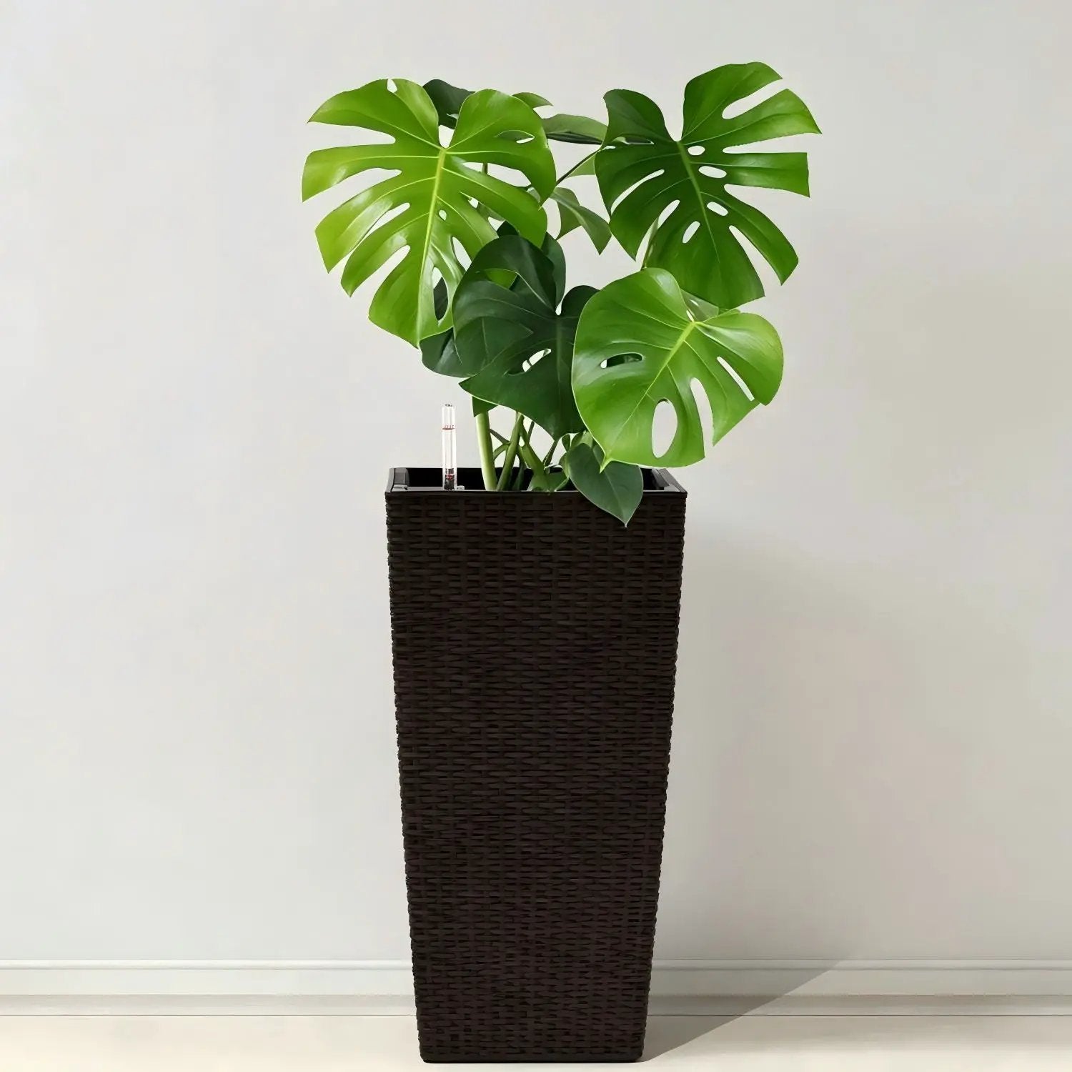Indoor Outdoor Planter With Automatic Watering System by Unique Piece Furniture