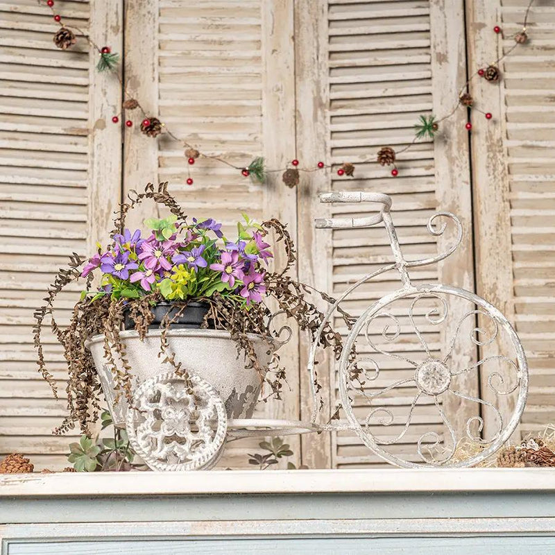 Rustic Bicycle Metal Wire Wall Planter Basket by HouseOfZazla