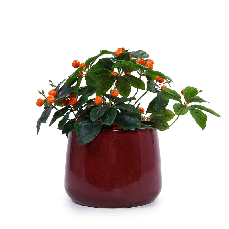4 Pieces Planter Pot, Indoor Outdoor Flowerpot For Patio, Garden, Or Windowsills - Bean Paste Red by HouseOfZazla