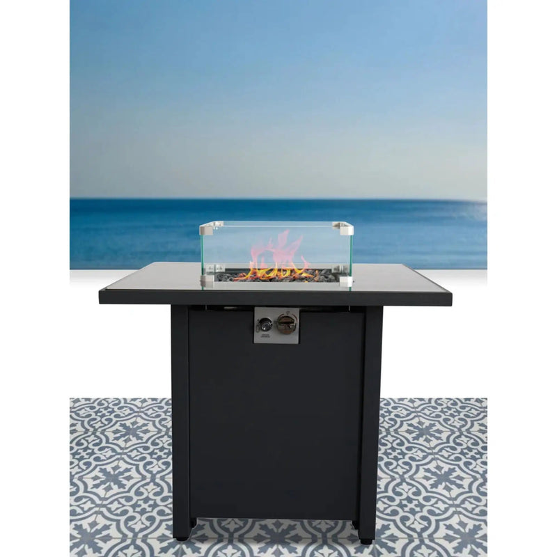 Cozy Design Powder Coated Fire Pit With Lid by HouseOfZazla