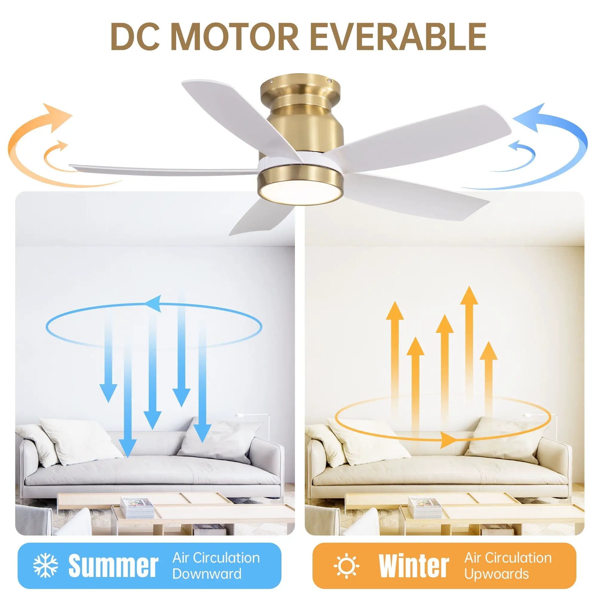 Flush Mount Ceiling Fan With LED Light 22W And Remote Control Blades / Body, DC Motor by Unique Piece Furniture
