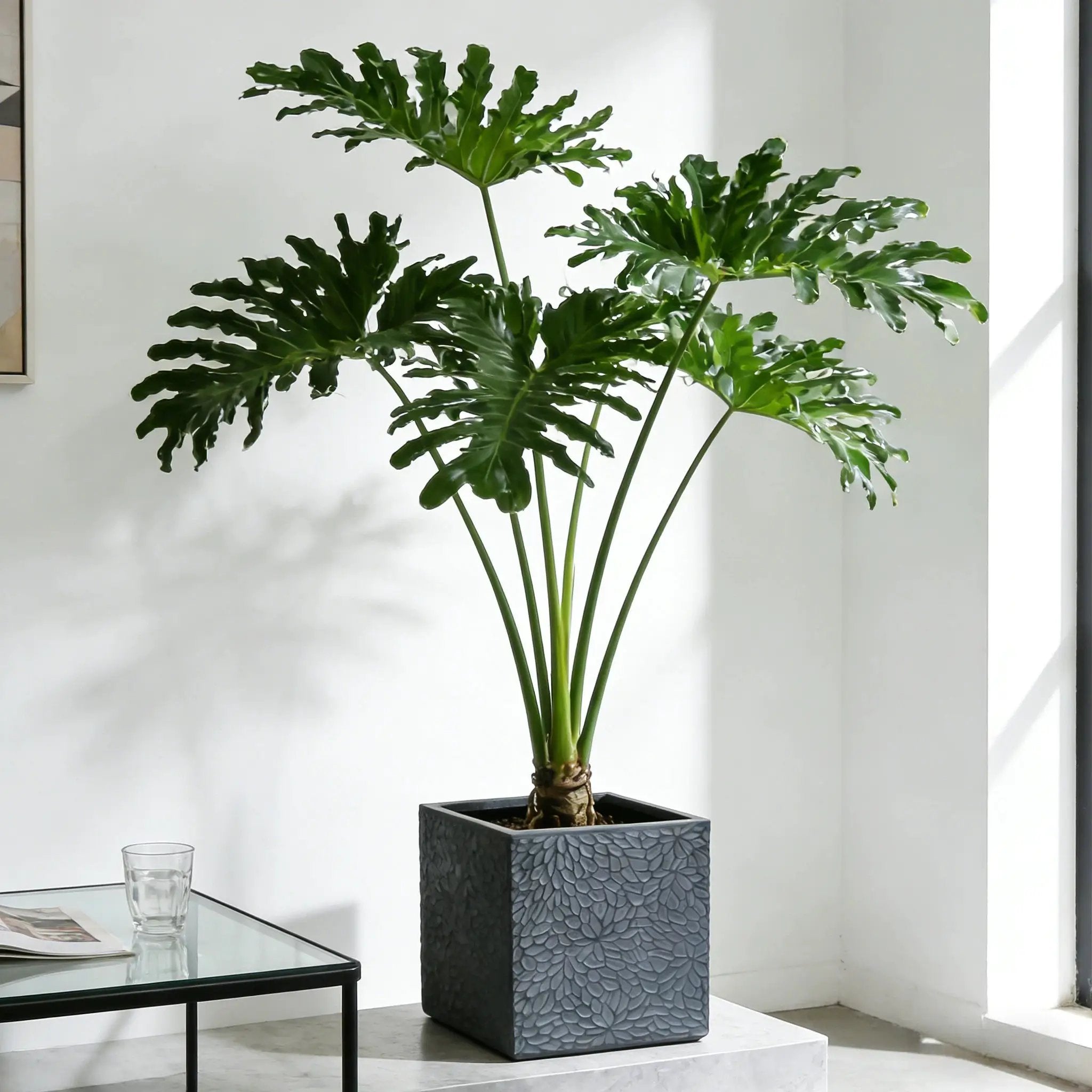 Large Outdoor Indoor Magnesium Oxide Planter Set of 4 by HouseOfZazla