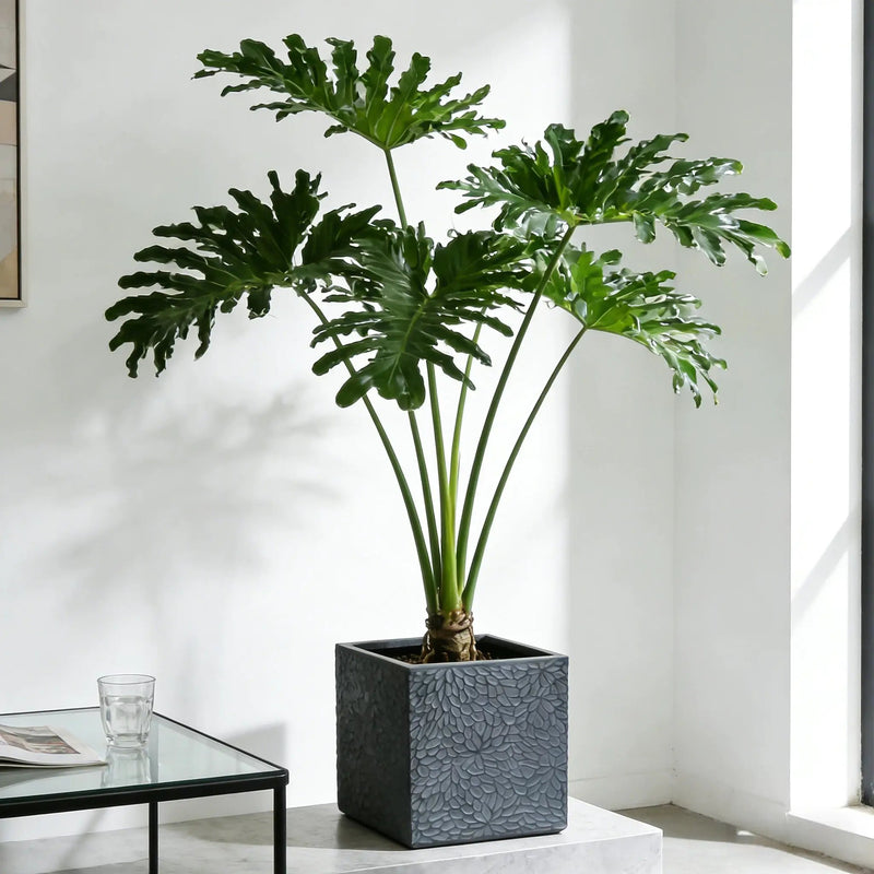 Large Outdoor Indoor Magnesium Oxide Planter Set of 4 by HouseOfZazla