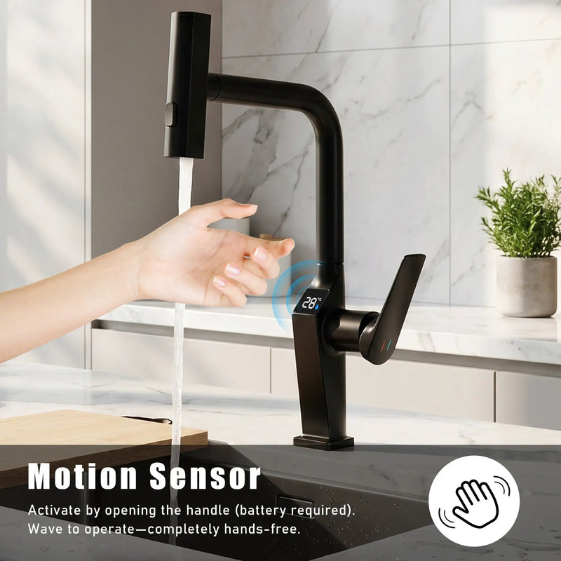 Touchless Matte Kitchen Faucet by HouseOfZazla