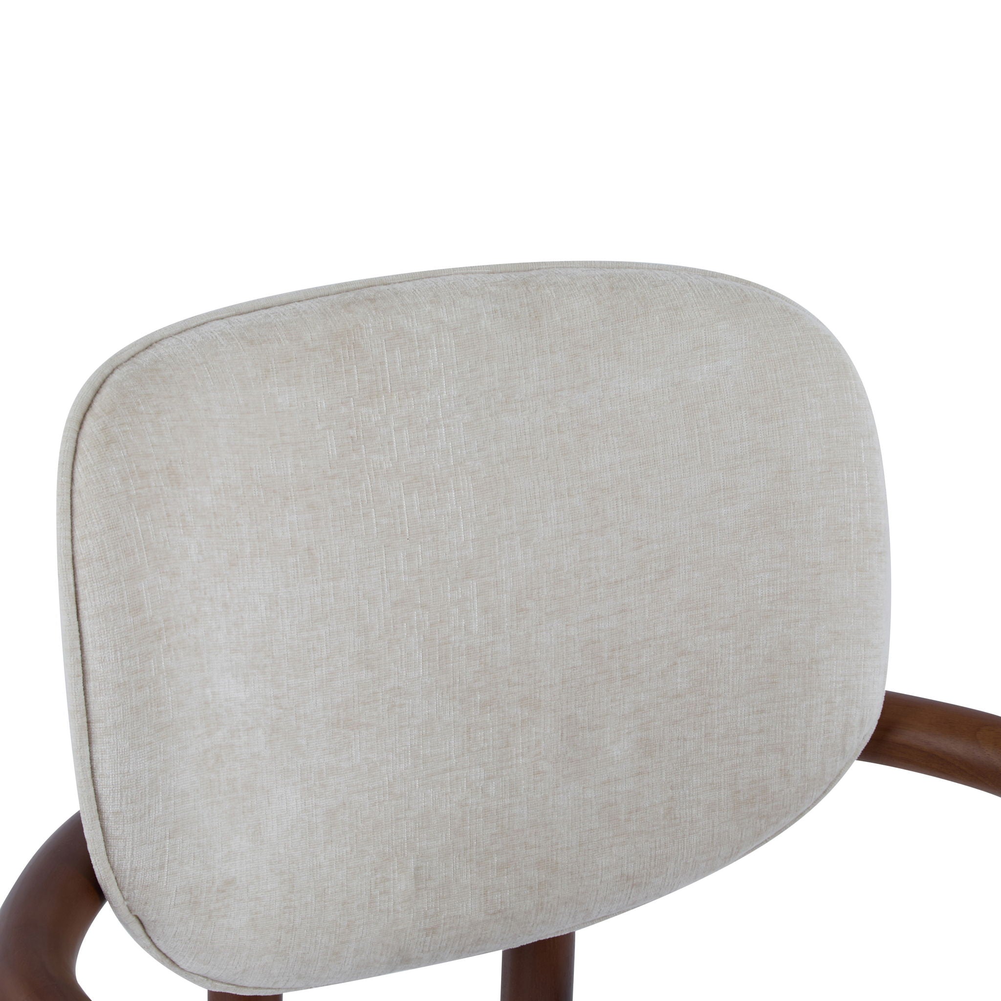 Upholstered Arm Dining Chairs (Set of 2) by HouseOfZazla