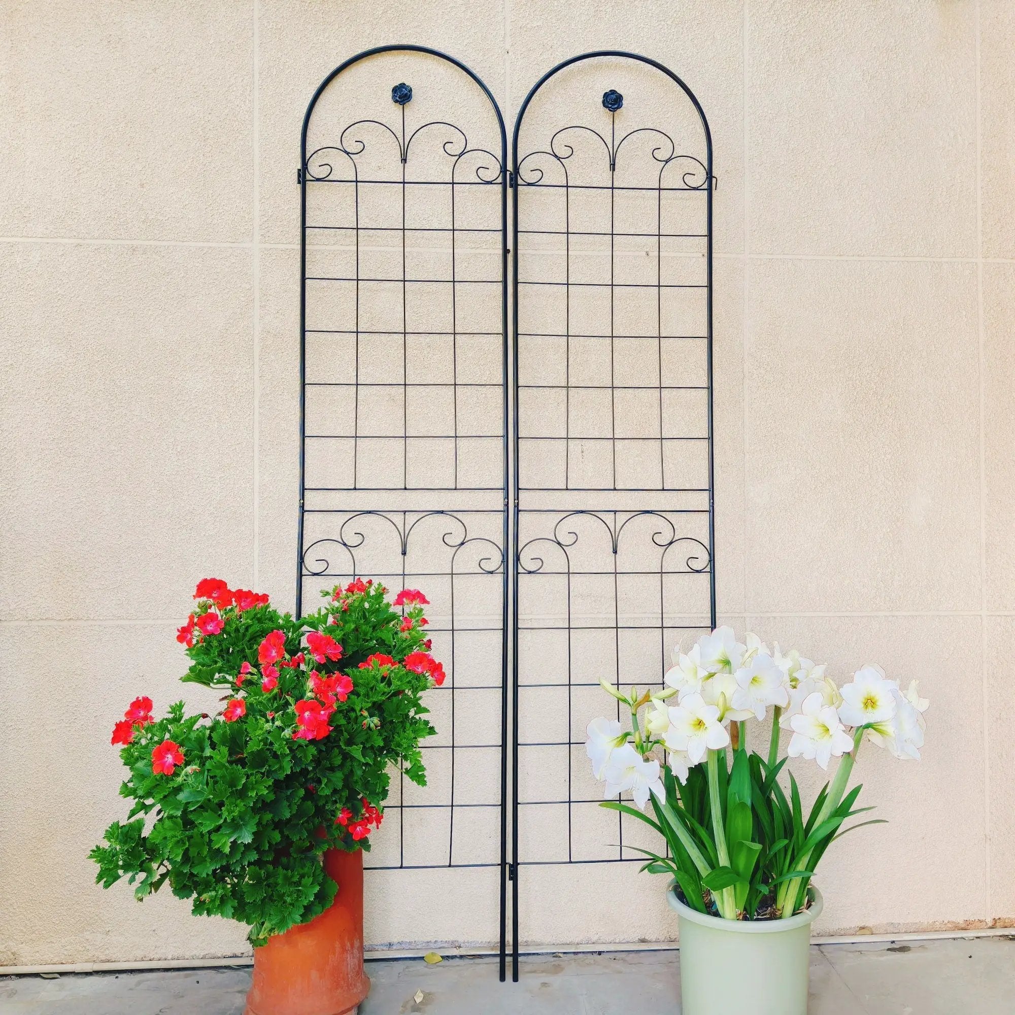 Metal Garden Trellis For Climbing Plants Outdoor Rustproof Plant Support Rose Trellis Netting Trellis by HouseOfZazla