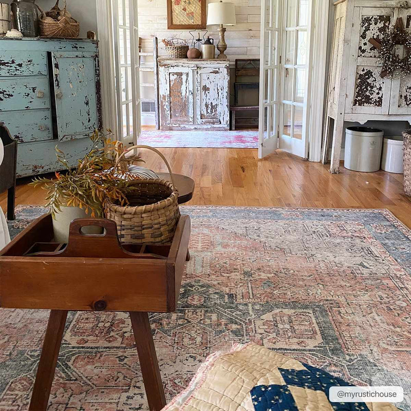 Rosman Distressed Washable Area Rug by Boutique Rugs