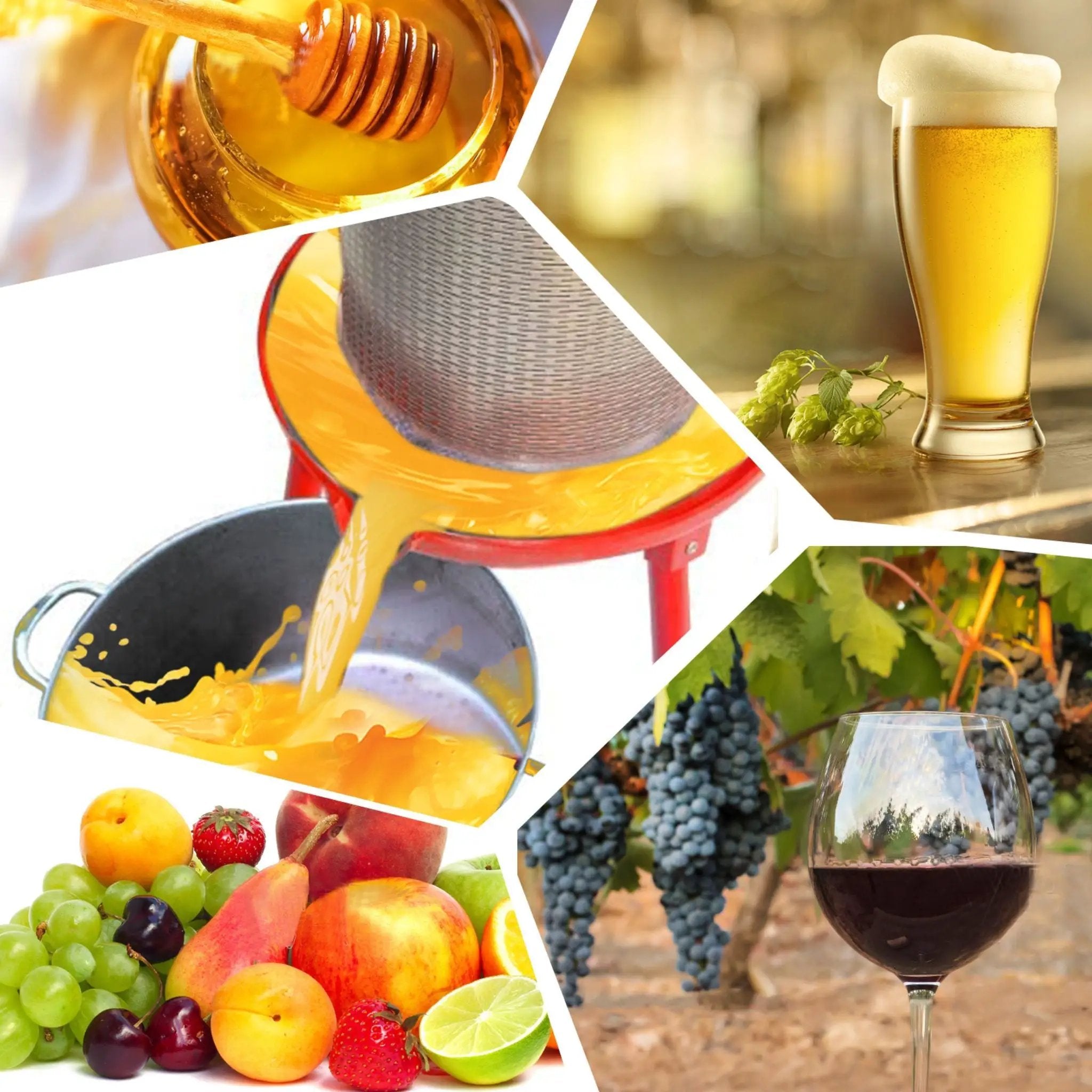 10-Gal Stainless Steel Hydraulic Fruit Wine Apple Press (SAK85622) by SAKSBY WHOLESALE