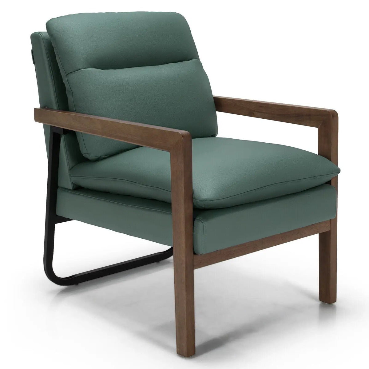 Single Sofa Chair with Extra-Thick Padded Backrest and Seat Cushion, photo 3 of 10