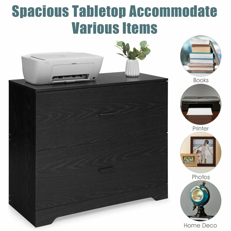 2-Drawer Lateral File Cabinet with Adjustable Bars for Home and Office by DirectDeals