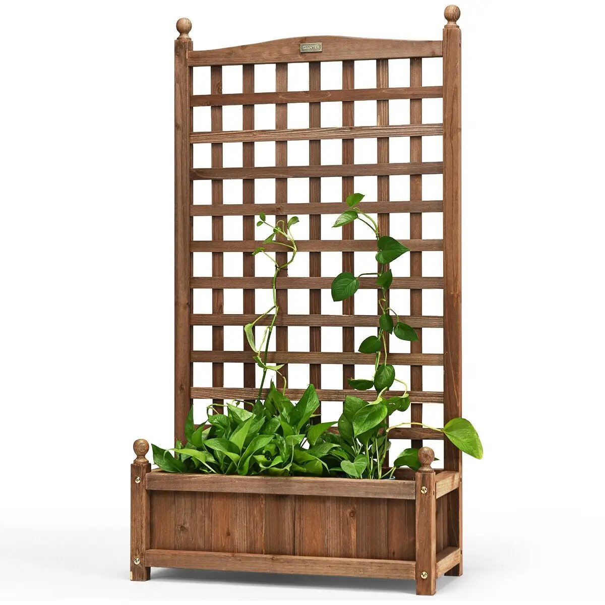 Solid Free Standing Wood Planter Box with Trellis for Garden by DirectDeals