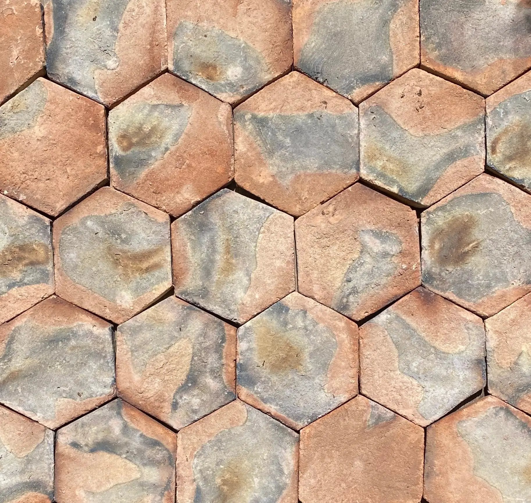 10" Hexagon Pinto Paver by Place Of Clay