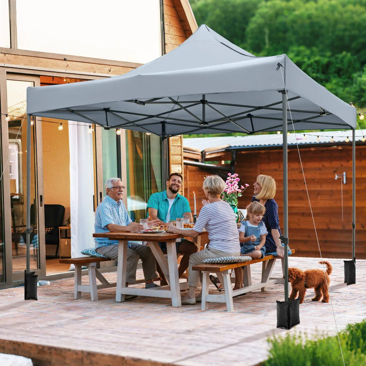 10 x 10 FT Outdoor Pop up Canopy Tent Easy Setup Gazebo Shelter with Wheeled Bag, photo 3 of 24