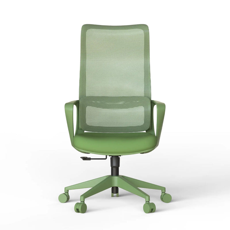Ergonomic Colorful Office Chair by HouseOfZazla