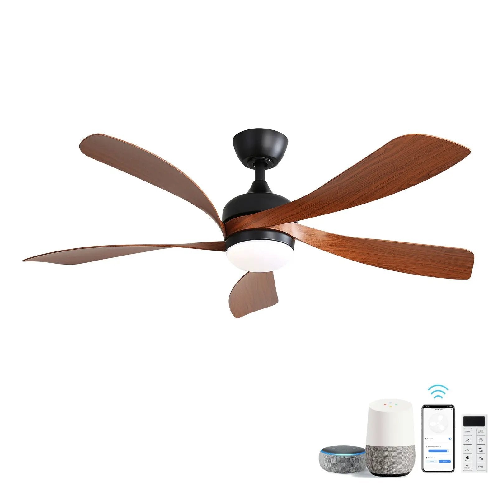 Ceiling Fan & DC Motor And Integrated Light by Unique Piece Furniture