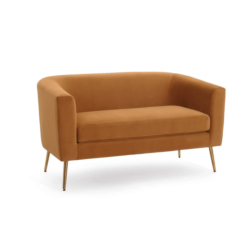 Modern Elegant Design Style Loveseat by HouseOfZazla