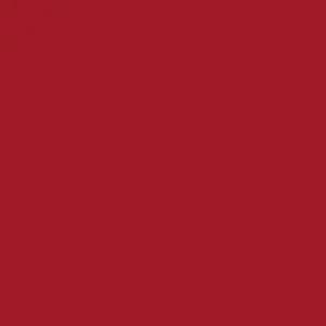CROWN SHADES 10x10 Pop Up Canopy Tent - Patented Center Lock One Push Instant Outdoor Canopy Beach Tent with STO-N-Go Bag 8 Stakes & 4 Sand Bags，Red by GreenHaven Gardens