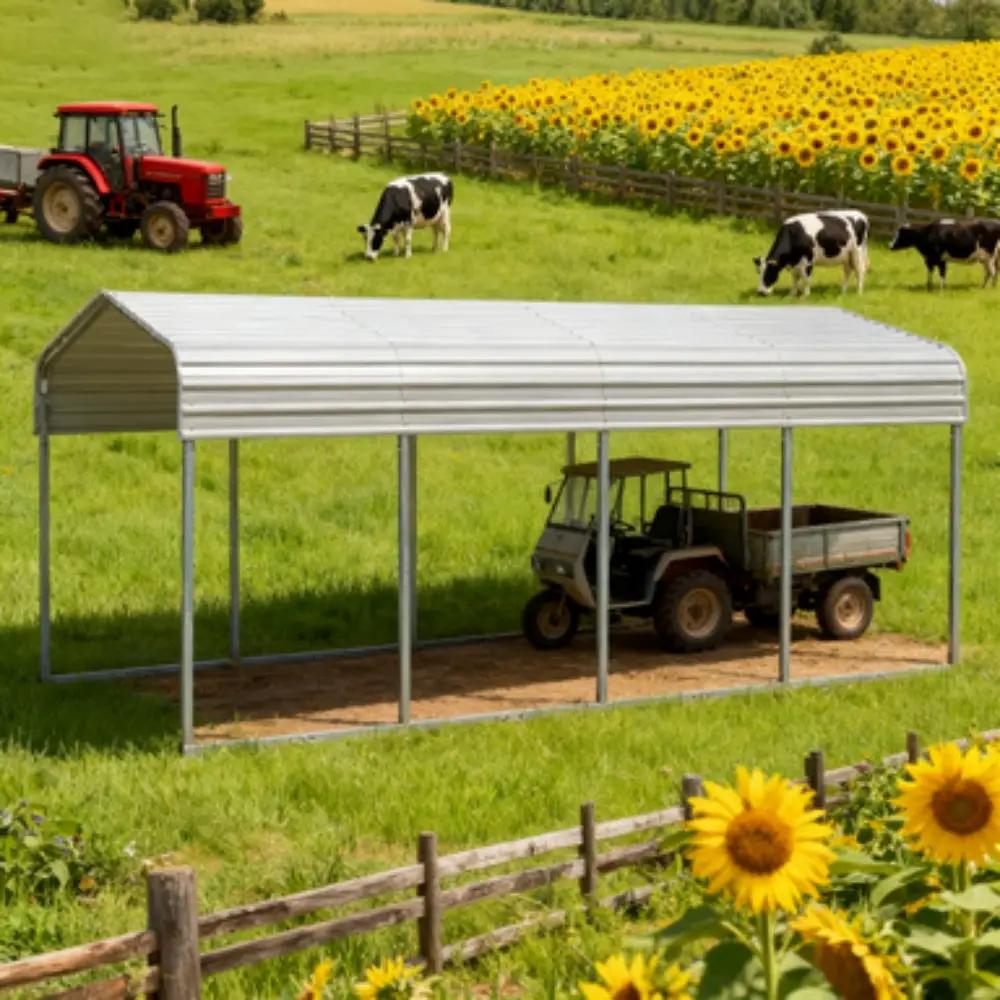 11'x20' Heavy-Duty Metal Carport by Chery Industrial